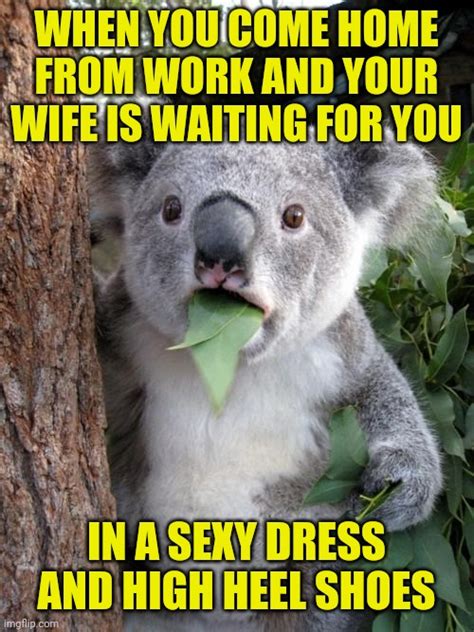 sexy meme for wife